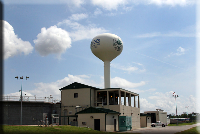 water plant